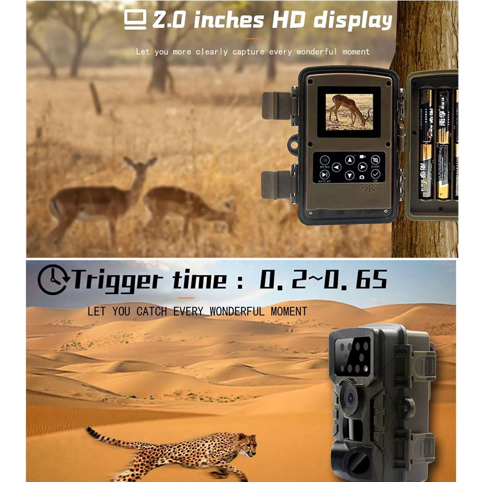 1080p Wildlife Hunting Camera with Night Vision for Outdoor Tracking