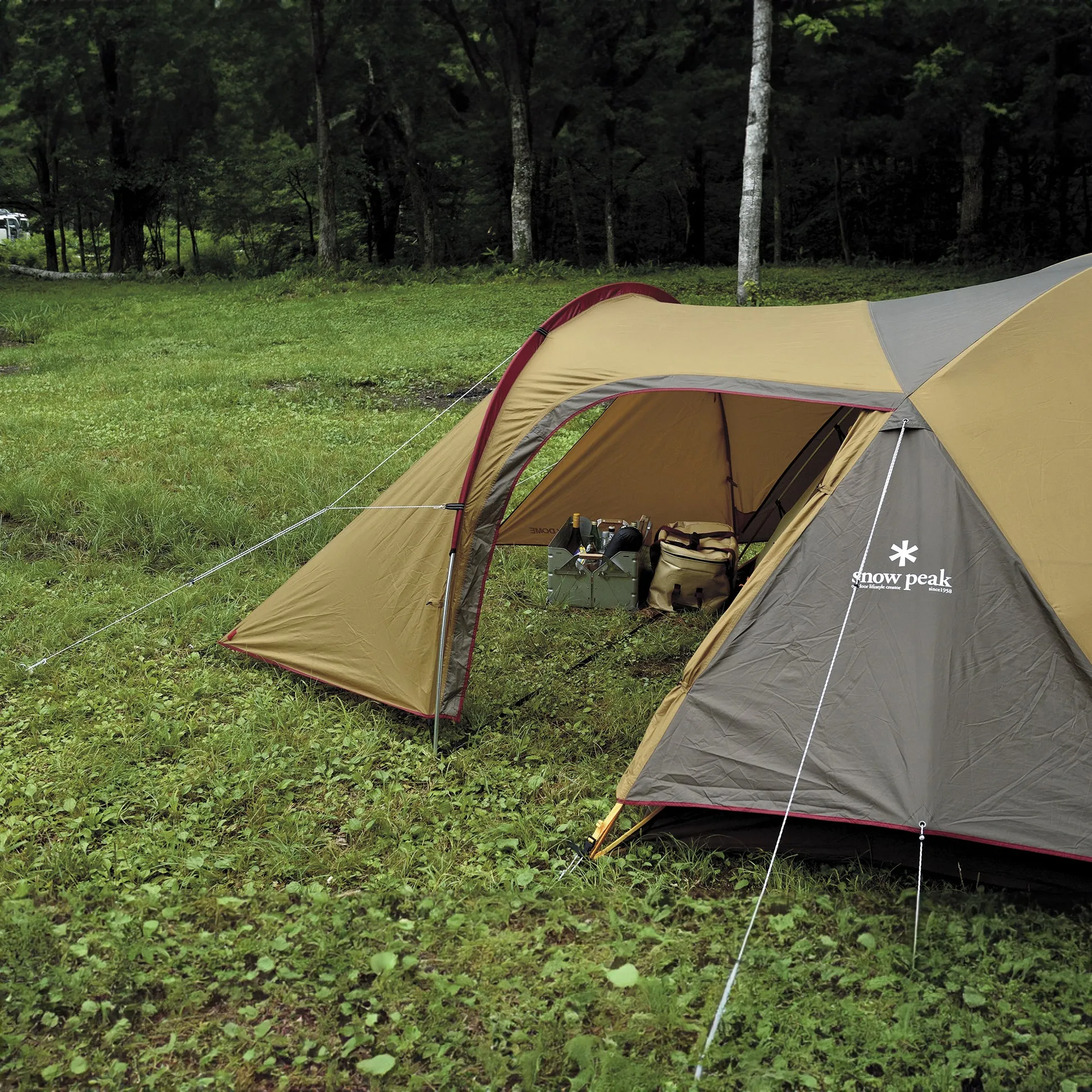 Amenity Dome L