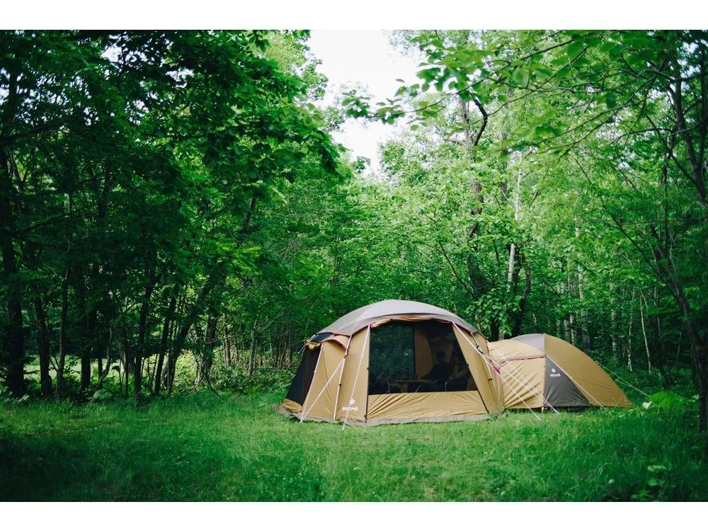 Mesh Shelter