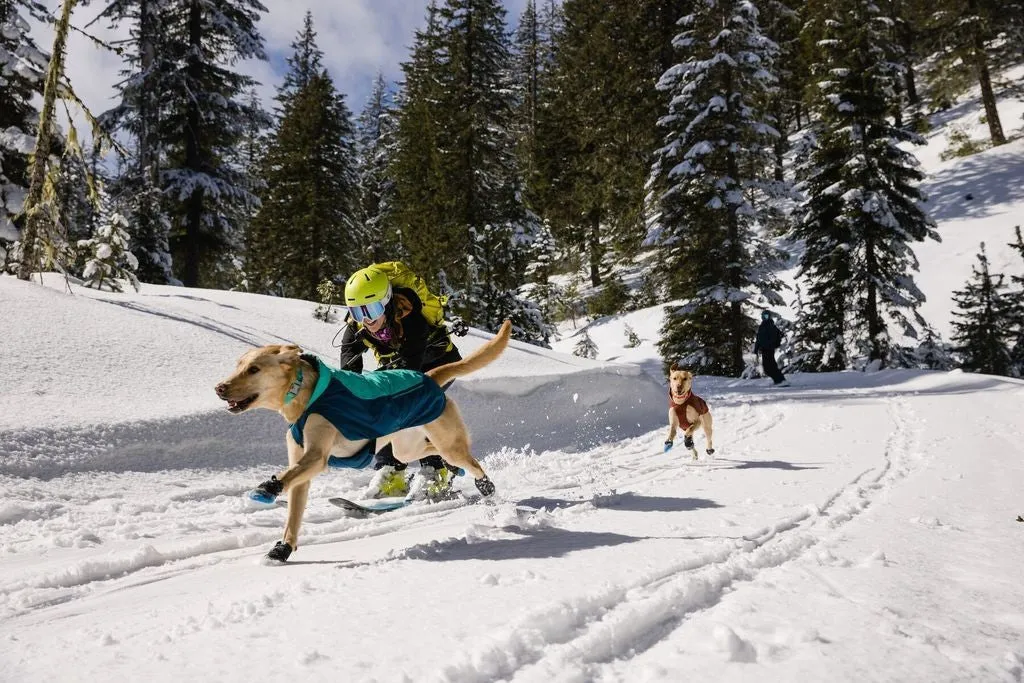 Ruffwear Vert Waterproof Dog Coat