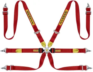 Sabelt Silver Series Enduro 6 Point Racing Harness